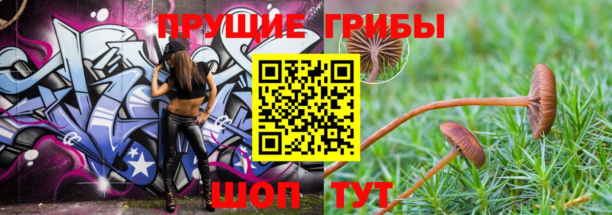 Качканар  Галлюциногенные грибы Magic Shrooms  Вход с VPN 